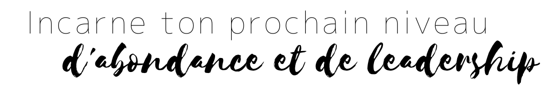 niveau-leadership-script